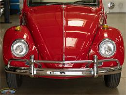 1967 Volkswagen Beetle (CC-2091456) for sale in Torrance, California