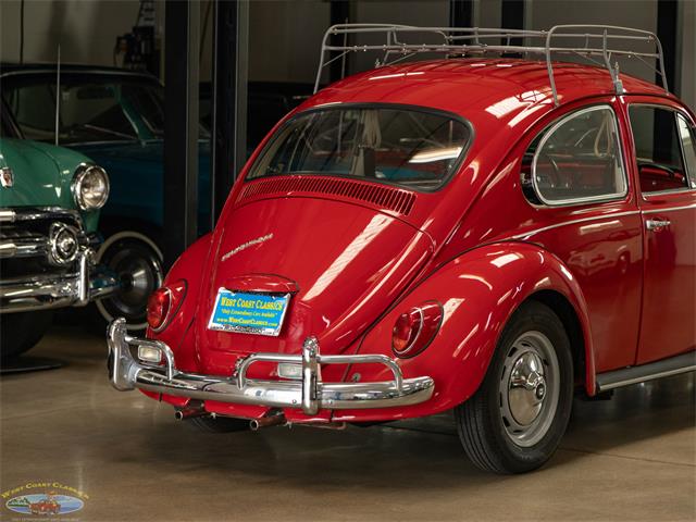 1967 Volkswagen Beetle (CC-2091456) for sale in Torrance, California