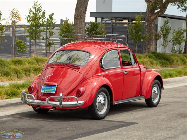1967 Volkswagen Beetle (CC-2091456) for sale in Torrance, California