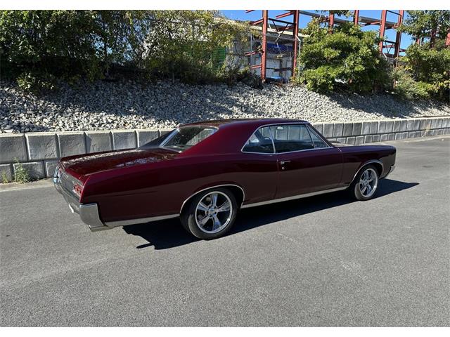 1967 Pontiac LeMans (CC-2091458) for sale in Hingham, Massachusetts