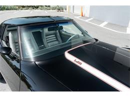 1978 Chevrolet Corvette (CC-2090147) for sale in Fort Lauderdale, Florida