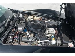 1978 Chevrolet Corvette (CC-2090147) for sale in Fort Lauderdale, Florida