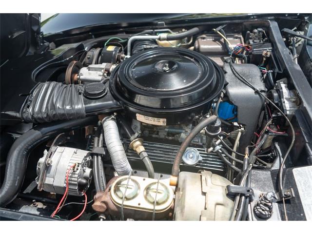 1978 Chevrolet Corvette (CC-2090147) for sale in Fort Lauderdale, Florida
