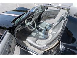 1978 Chevrolet Corvette (CC-2090147) for sale in Fort Lauderdale, Florida
