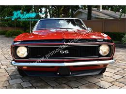 1968 Chevrolet Camaro SS (CC-2091486) for sale in Lakeland, Florida