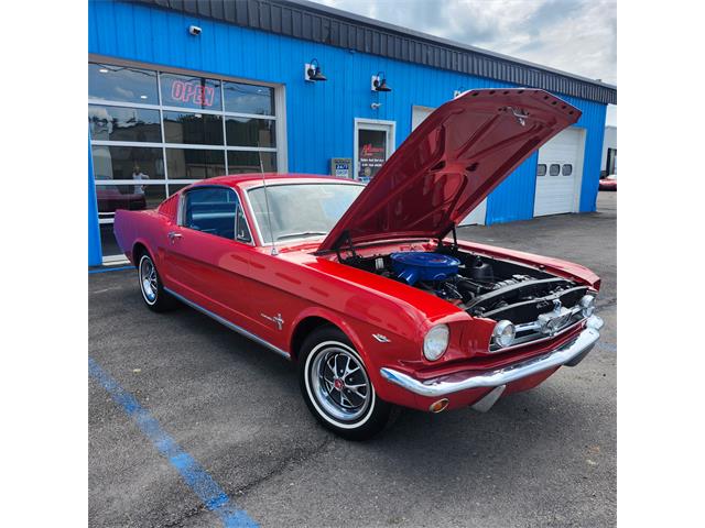 1965 Ford Mustang Fastback (CC-2090149) for sale in Mill Hall, Pennsylvania