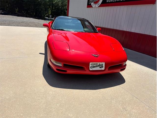 1997 Chevrolet Corvette (CC-2091500) for sale in Newfield, New Jersey