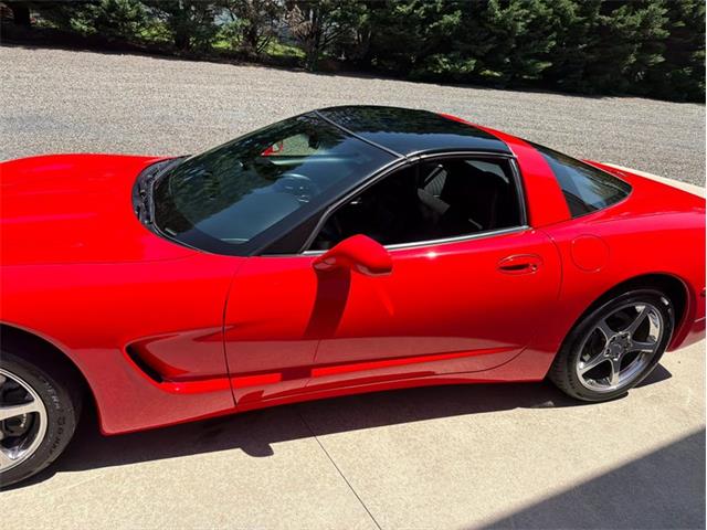 1997 Chevrolet Corvette (CC-2091500) for sale in Newfield, New Jersey
