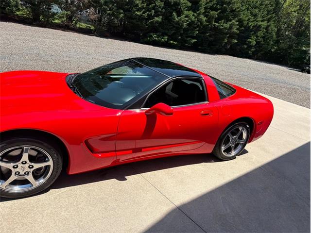1997 Chevrolet Corvette (CC-2091500) for sale in Newfield, New Jersey