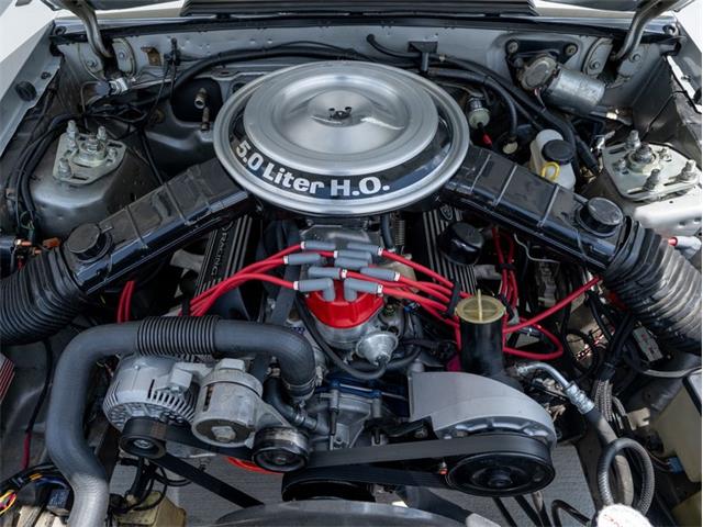 1982 Ford Mustang (CC-2091505) for sale in Gordonsville, Tennessee
