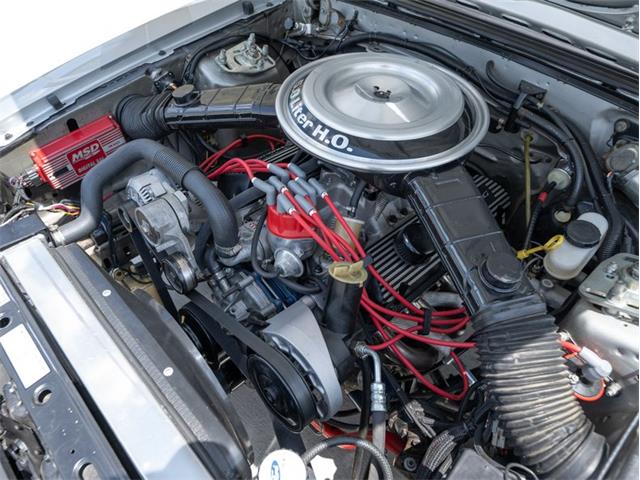 1982 Ford Mustang (CC-2091505) for sale in Gordonsville, Tennessee