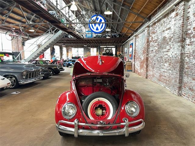 1963 Volkswagen Beetle (CC-2091510) for sale in Reading, Pennsylvania