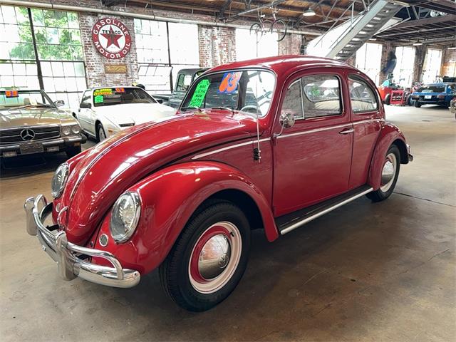 1963 Volkswagen Beetle (CC-2091510) for sale in Reading, Pennsylvania