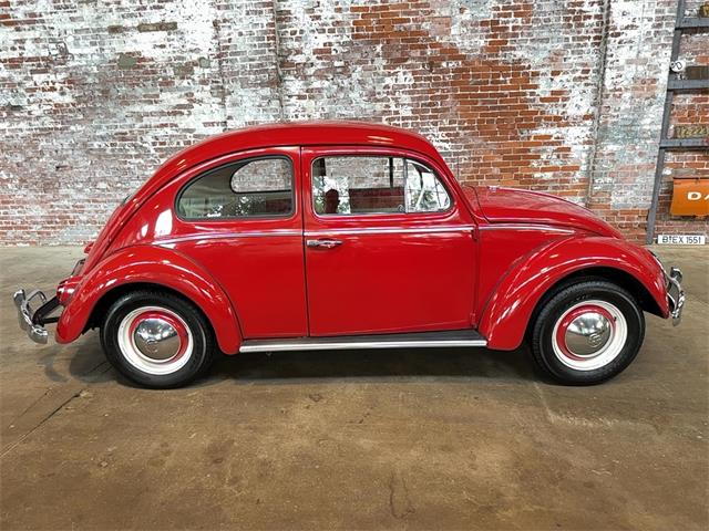 1963 Volkswagen Beetle (CC-2091510) for sale in Reading, Pennsylvania