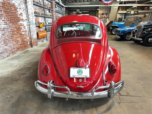 1963 Volkswagen Beetle (CC-2091510) for sale in Reading, Pennsylvania
