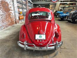 1963 Volkswagen Beetle (CC-2091510) for sale in Reading, Pennsylvania