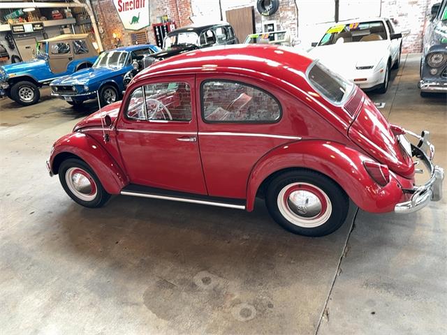 1963 Volkswagen Beetle (CC-2091510) for sale in Reading, Pennsylvania