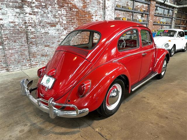 1963 Volkswagen Beetle (CC-2091510) for sale in Reading, Pennsylvania