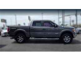 2014 Ford F150 (CC-2091539) for sale in Tacoma, Washington