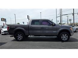 2014 Ford F150 (CC-2091539) for sale in Tacoma, Washington