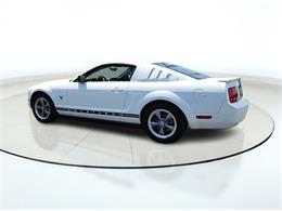 2009 Ford Mustang (CC-2091560) for sale in Buffalo, New York