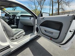 2009 Ford Mustang (CC-2091560) for sale in Buffalo, New York