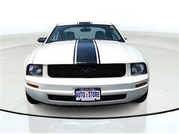2009 Ford Mustang (CC-2091560) for sale in Buffalo, New York