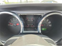 2009 Ford Mustang (CC-2091560) for sale in Buffalo, New York