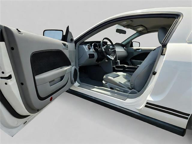 2009 Ford Mustang (CC-2091560) for sale in Buffalo, New York