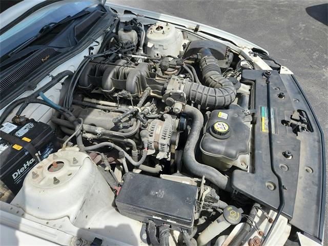 2009 Ford Mustang (CC-2091560) for sale in Buffalo, New York