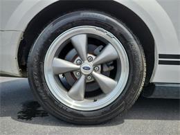 2009 Ford Mustang (CC-2091560) for sale in Buffalo, New York