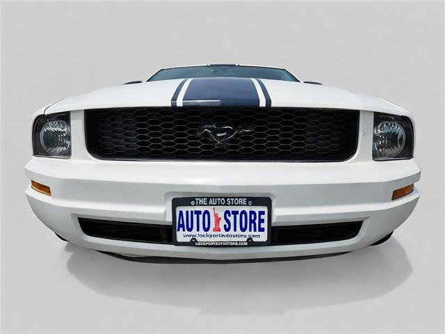 2009 Ford Mustang (CC-2091560) for sale in Buffalo, New York