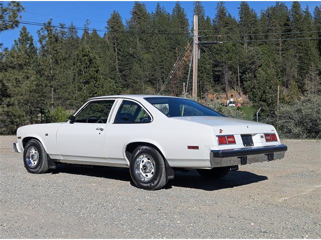 1975 Chevrolet Nova (CC-2091587) for sale in Grass Valley, California