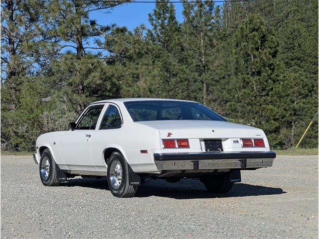 1975 Chevrolet Nova (CC-2091587) for sale in Grass Valley, California