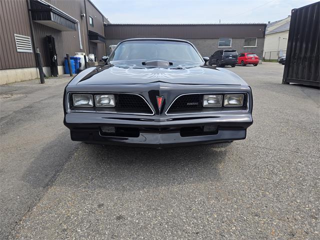 1980 Pontiac Firebird Trans Am (CC-2091590) for sale in Vaudreuil-Dorion, Québec
