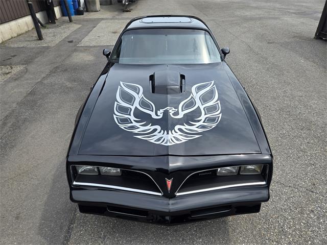 1980 Pontiac Firebird Trans Am (CC-2091590) for sale in Vaudreuil-Dorion, Québec