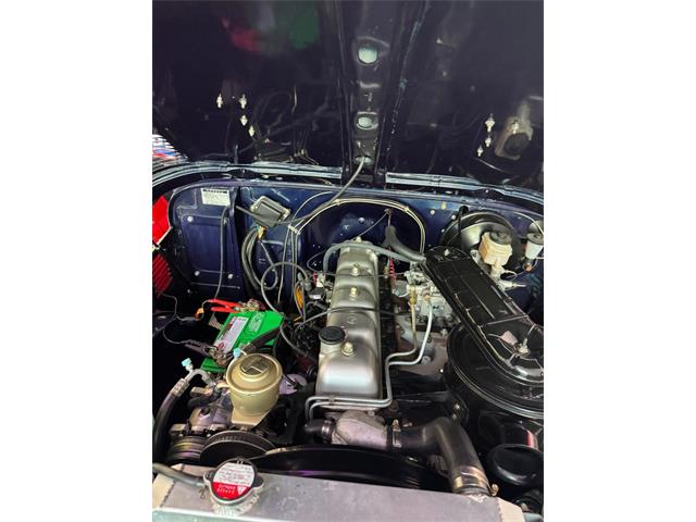 1981 Toyota Land Cruiser (CC-2091667) for sale in Greensboro, North Carolina