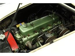1959 Austin-Healey 100-6 (CC-2091681) for sale in Lutz, Florida