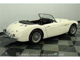 1959 Austin-Healey 100-6 (CC-2091681) for sale in Lutz, Florida