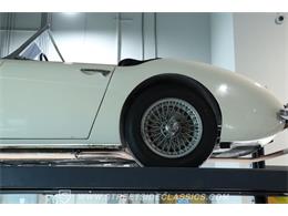 1959 Austin-Healey 100-6 (CC-2091681) for sale in Lutz, Florida