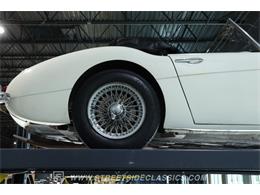 1959 Austin-Healey 100-6 (CC-2091681) for sale in Lutz, Florida