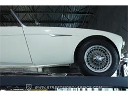 1959 Austin-Healey 100-6 (CC-2091681) for sale in Lutz, Florida