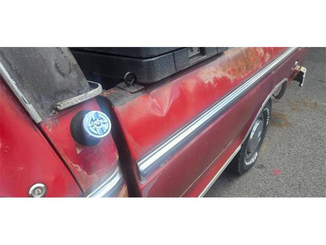 1974 Ford F100 (CC-2091706) for sale in Cadillac, Michigan
