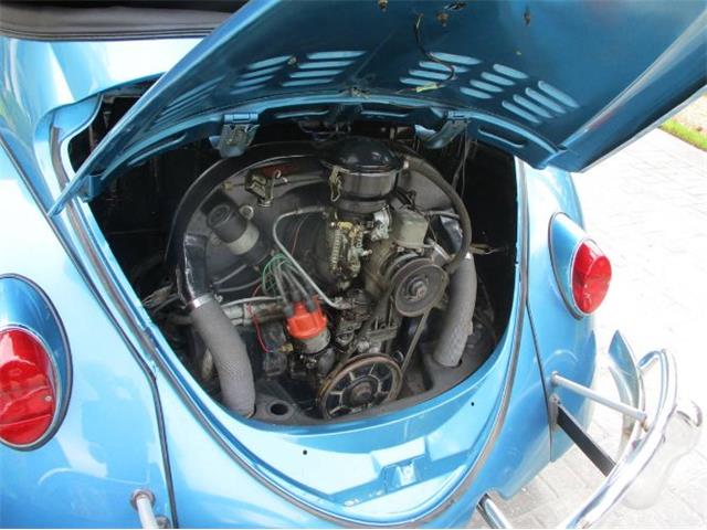 1963 Volkswagen Beetle (CC-2091707) for sale in Cadillac, Michigan