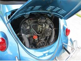 1963 Volkswagen Beetle (CC-2091707) for sale in Cadillac, Michigan