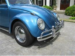 1963 Volkswagen Beetle (CC-2091707) for sale in Cadillac, Michigan
