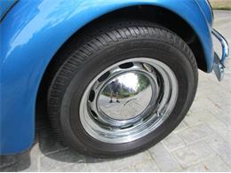 1963 Volkswagen Beetle (CC-2091707) for sale in Cadillac, Michigan
