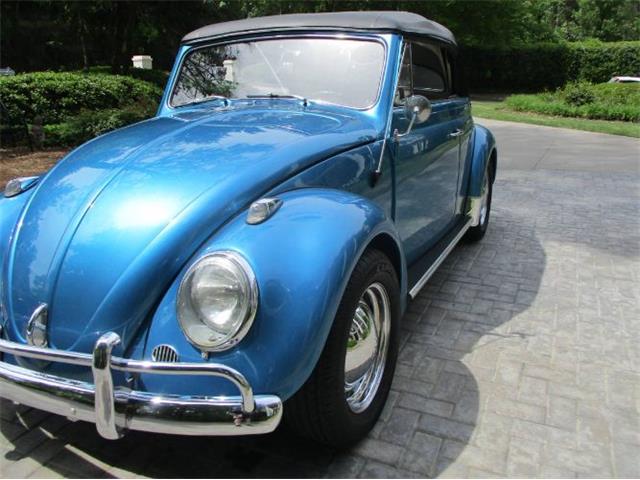 1963 Volkswagen Beetle (CC-2091707) for sale in Cadillac, Michigan