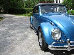 1963 Volkswagen Beetle (CC-2091707) for sale in Cadillac, Michigan