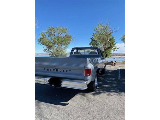 1979 Chevrolet C10 (CC-2091741) for sale in Cadillac, Michigan